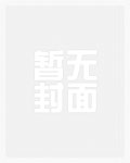 海贼之B叔无敌